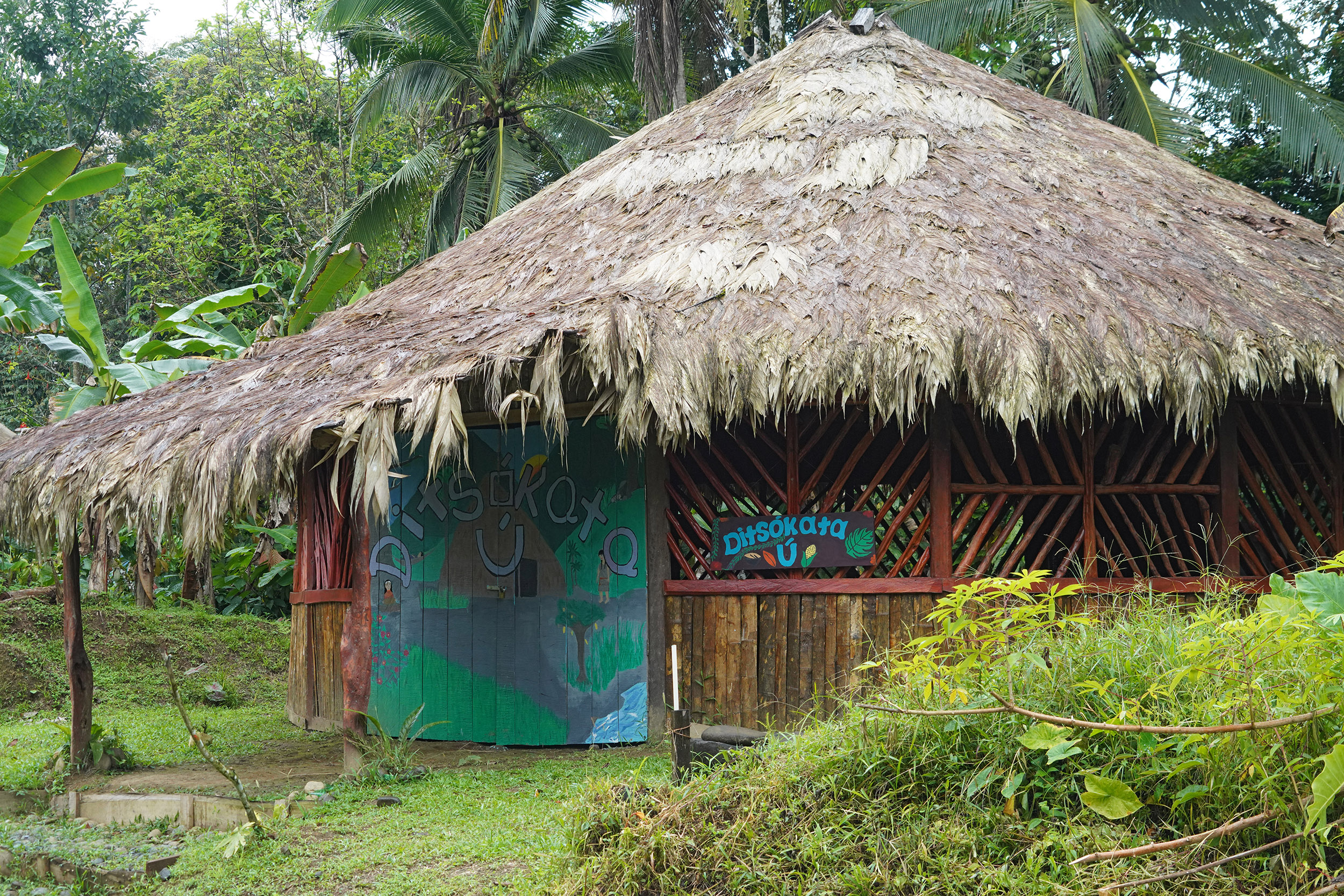 Costa Rica - Février 2025